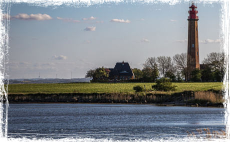 Leuchtturm Fehmarn Fischbrötchen